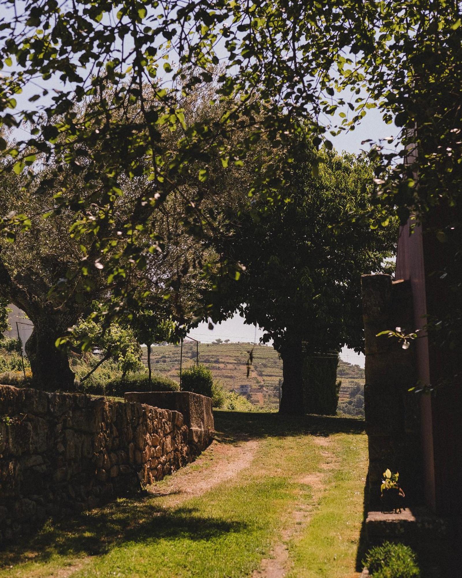 Hotel Casal De Tralhariz - Turismo De Habitacao Exteriér fotografie